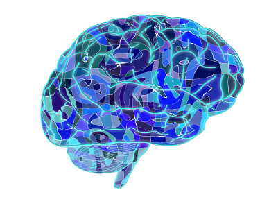 Mapa del cerebro