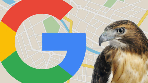 algoritmo Google 'Hawk'