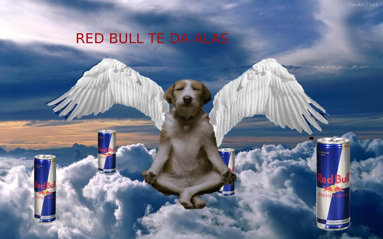 “Te da alas”, de Red Bull