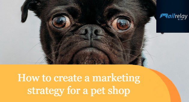 How to create a marketing strategy for a pet shop
