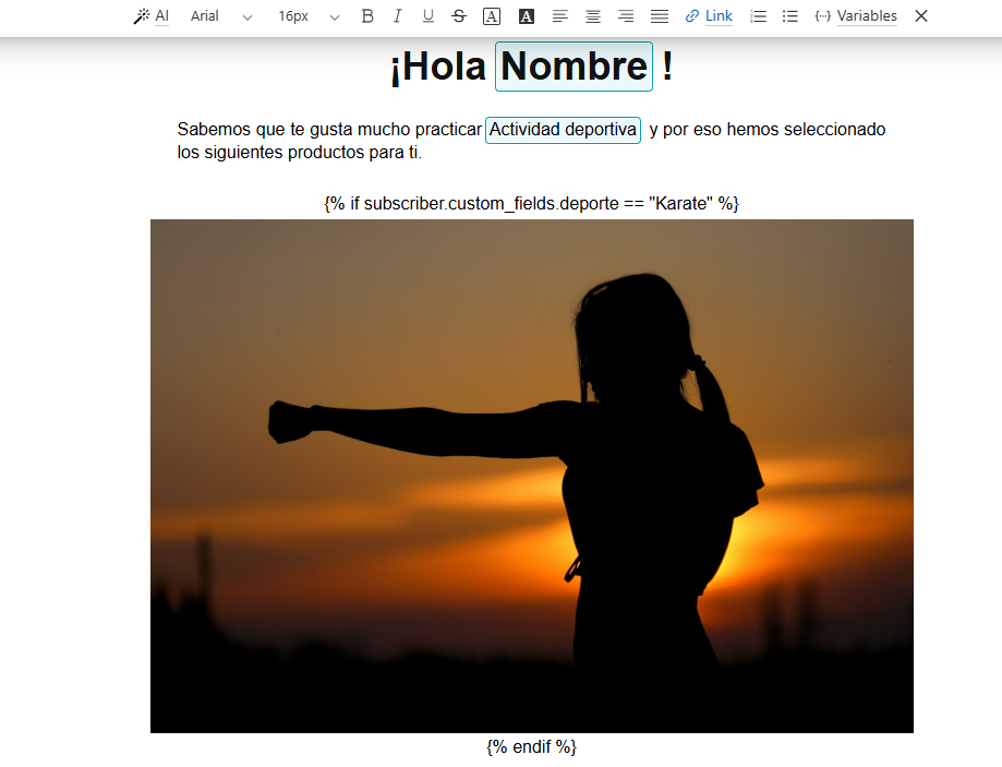ejemplo de email con secciones condicionales