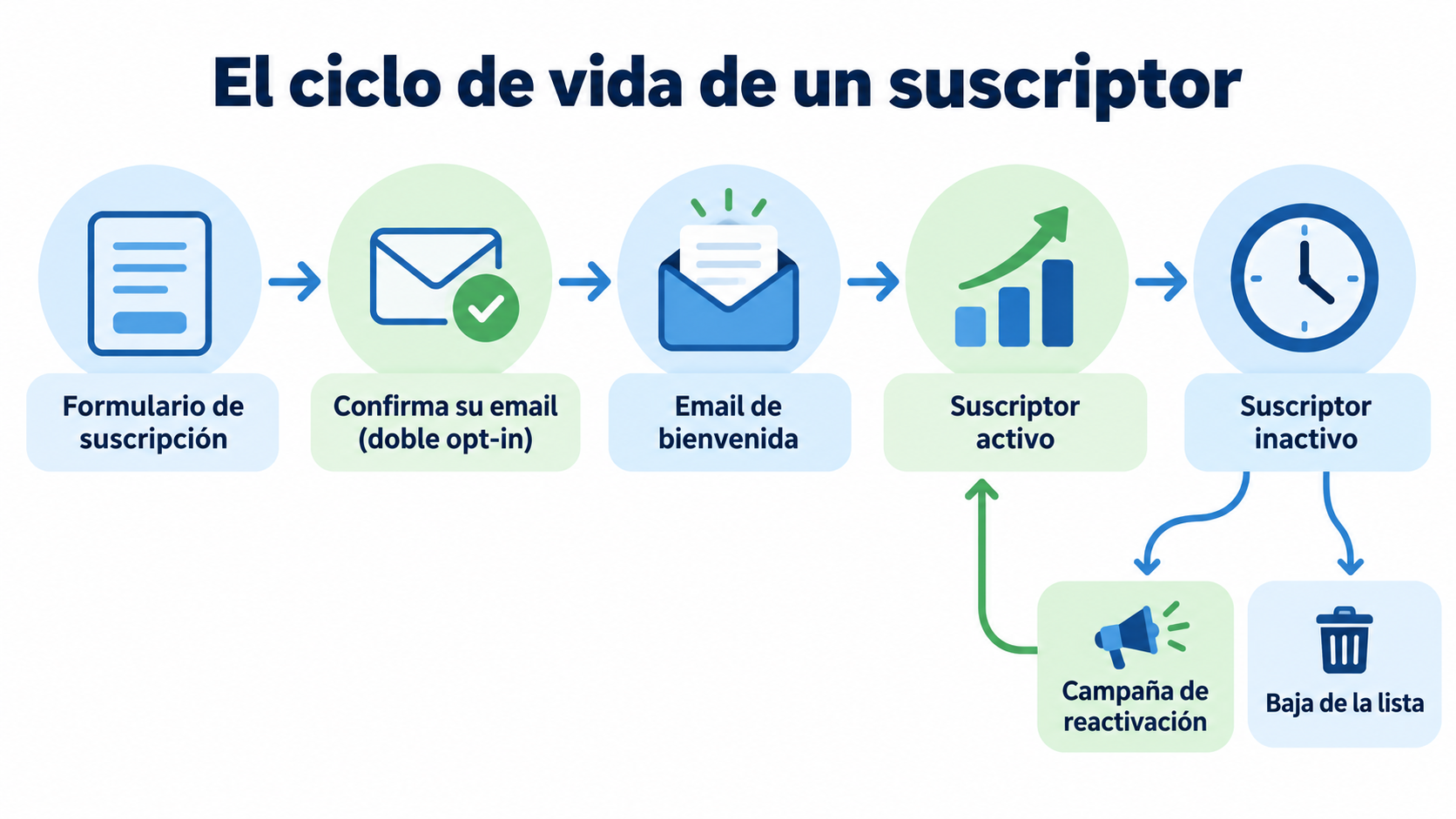 Infografía del ciclo de vida de un suscriptor: formulario de suscripción, confirmación con doble opt-in, email de bienvenida, suscriptor activo, suscriptor inactivo y reactivación o baja