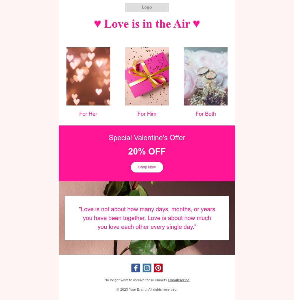 Preview of the Valentine’s day Special Offer email template