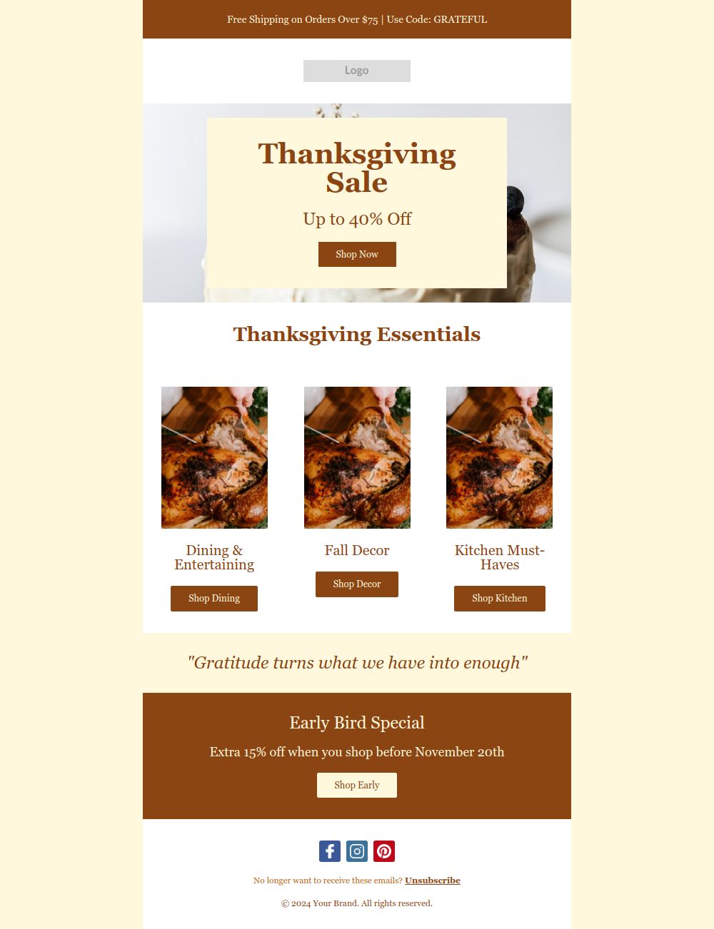 Preview of the Thanksgiving Sale Email email template