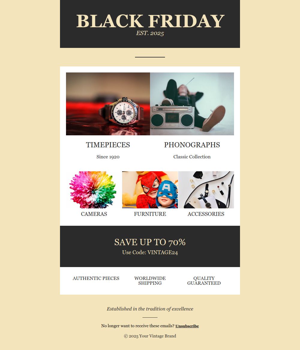 Preview of the Black Friday for various product categories email template