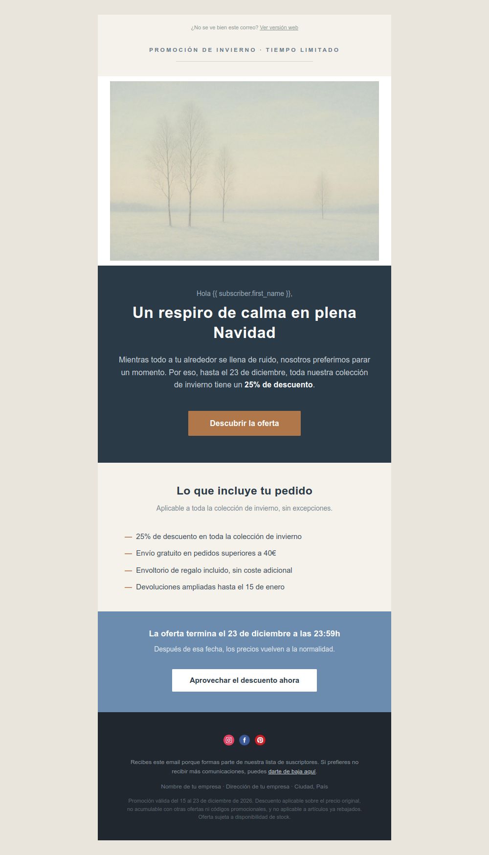 Preview of the Nordic Winter Sale email template