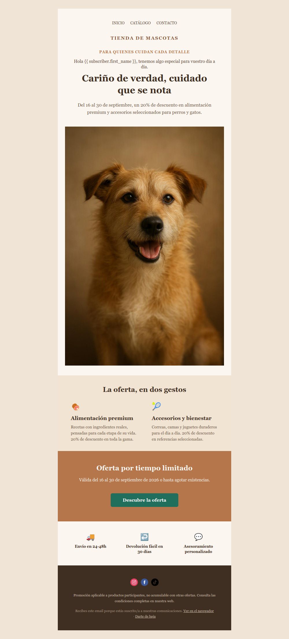 Preview of the Pet Store Promotion email template