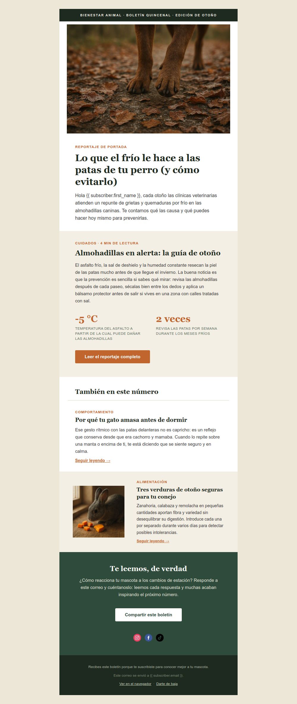 Prévia do modelo de email Newsletter revista de pets
