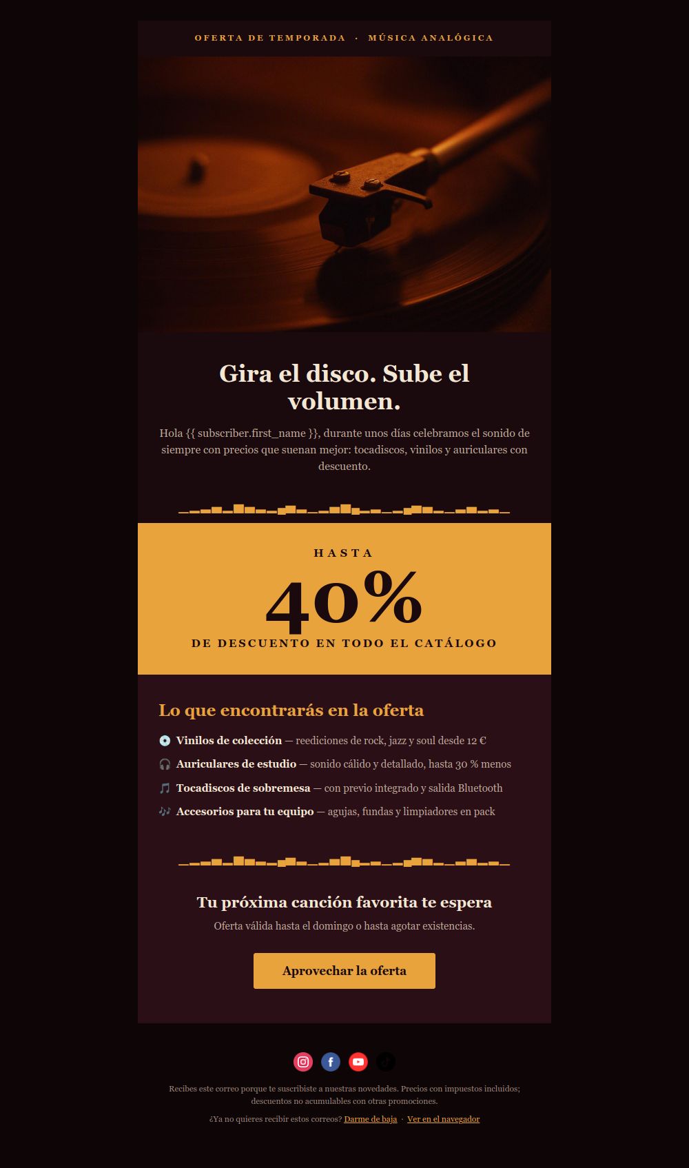Preview of the Vinyl music sale email template