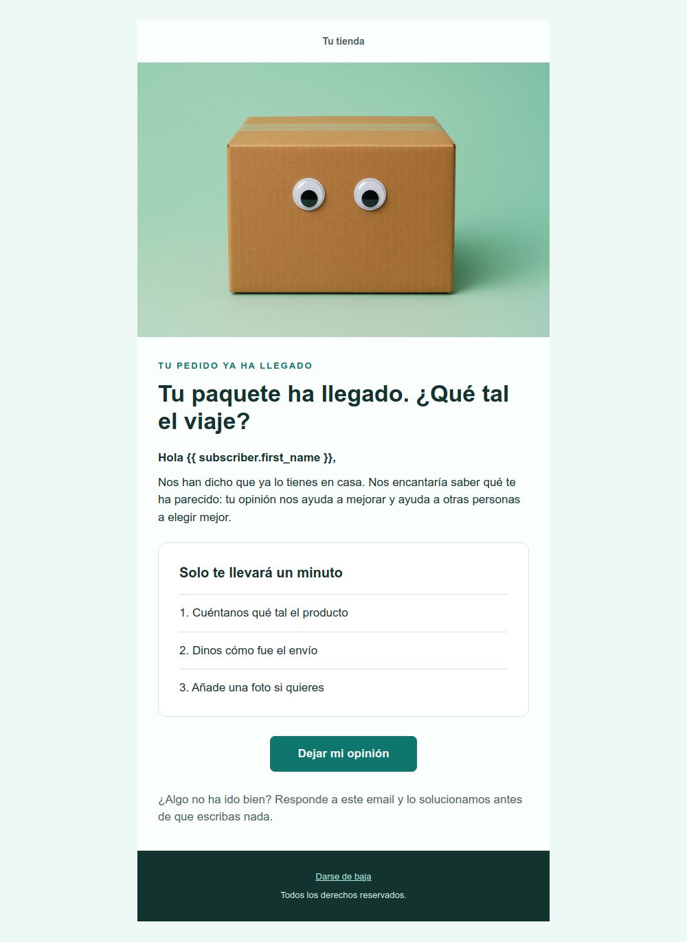 Preview of the Post-purchase review request email template