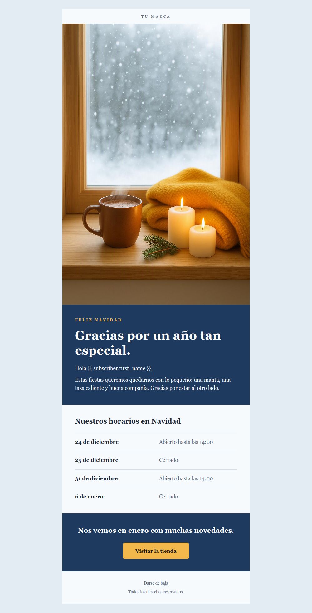 Preview of the Christmas greeting email template
